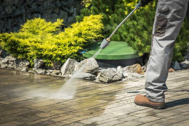Best Dumpster Area Cleaning  in Cortland, IL
