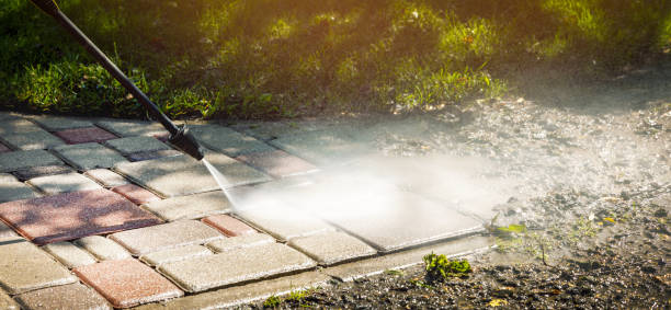 Best Roof Washing  in Cortland, IL